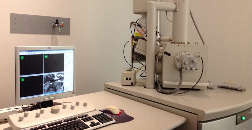 Quanta 200 ESEM